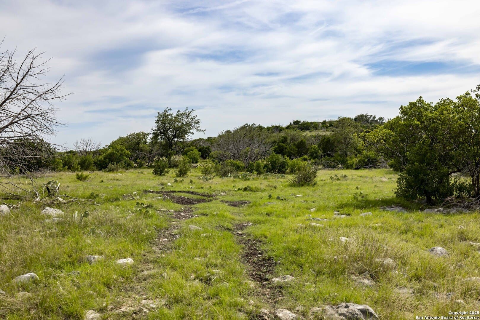 25.66 acres in Edwards County - photo 15