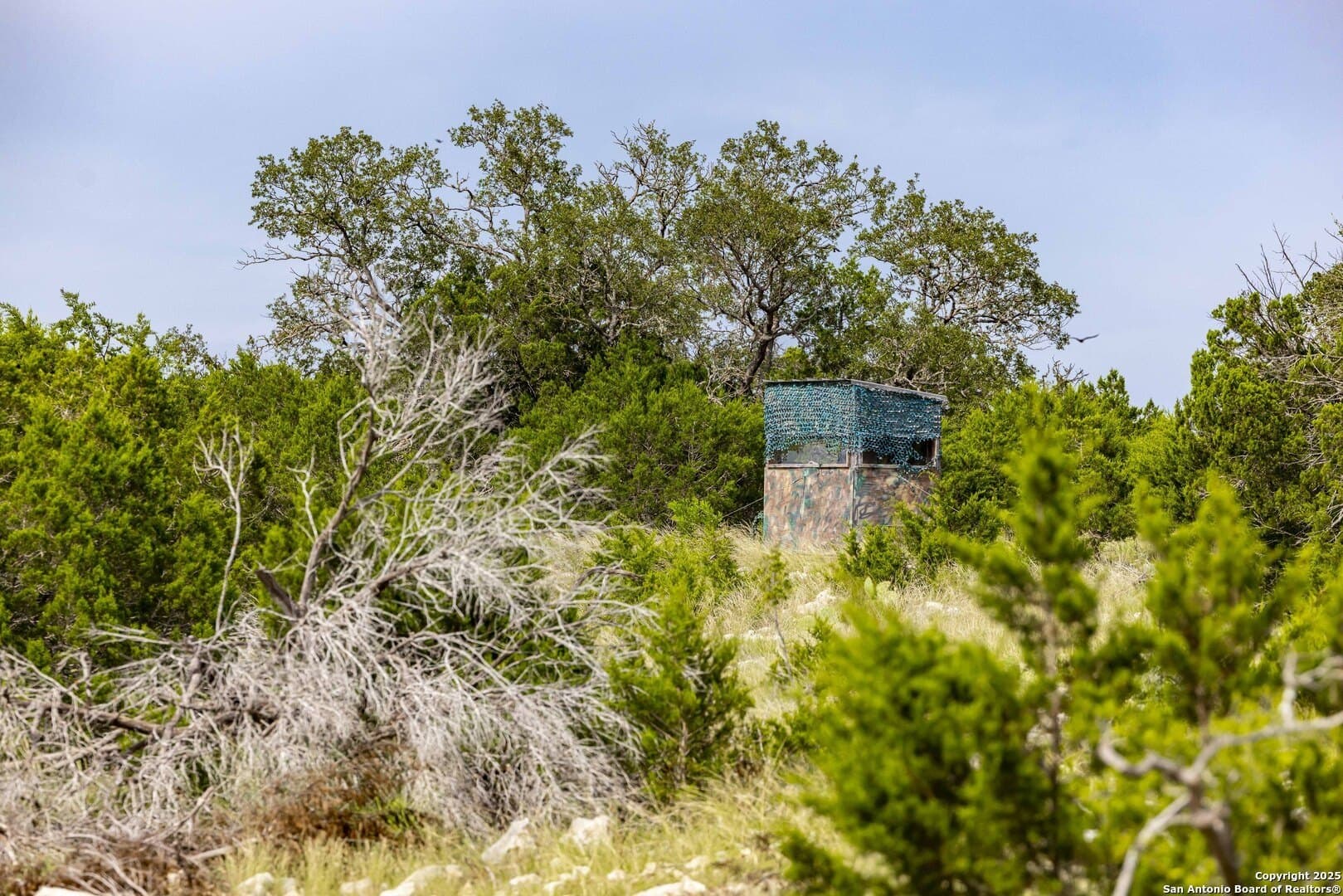 25.66 acres in Edwards County - photo 9