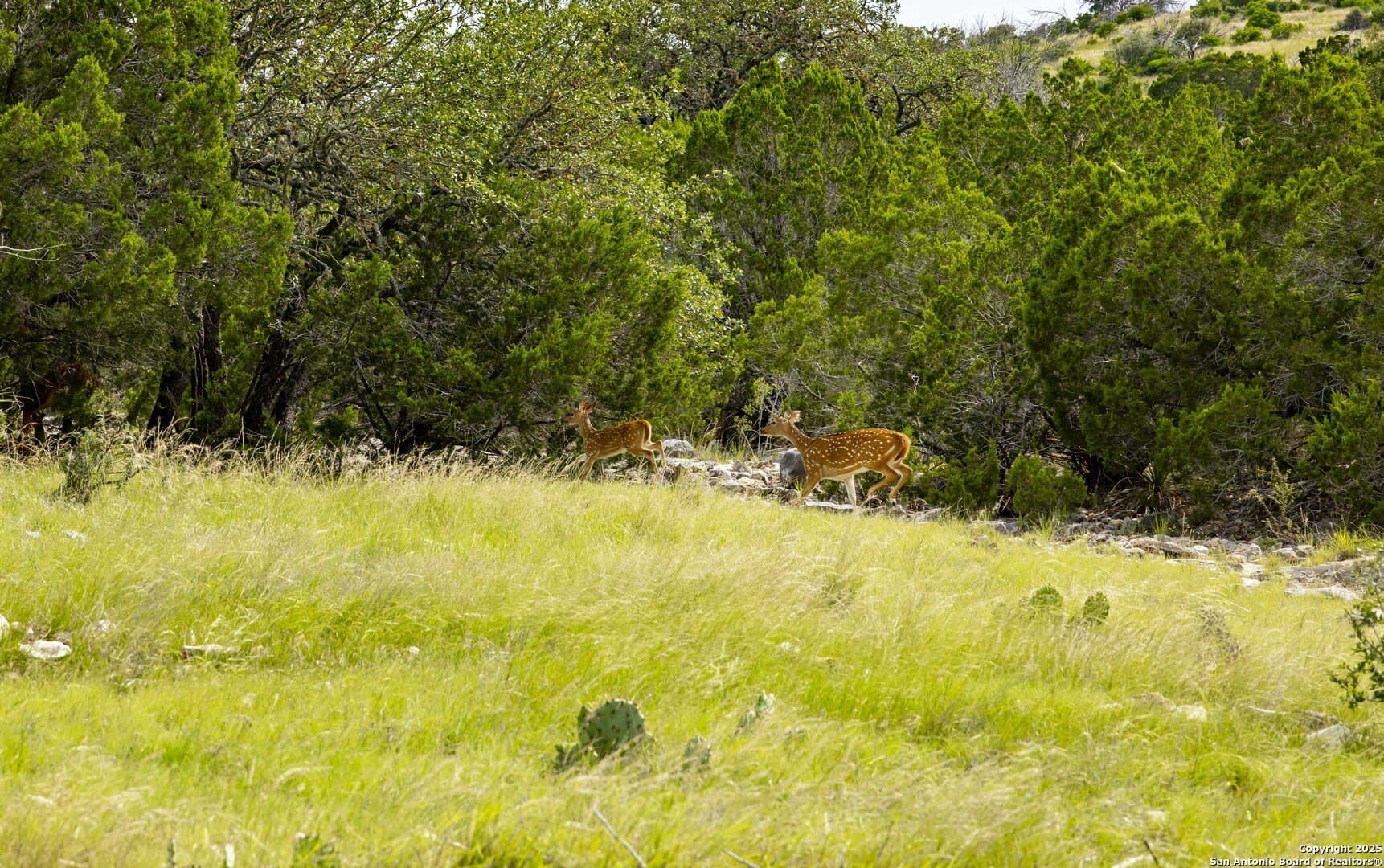 25.66 acres in Edwards County - photo 11