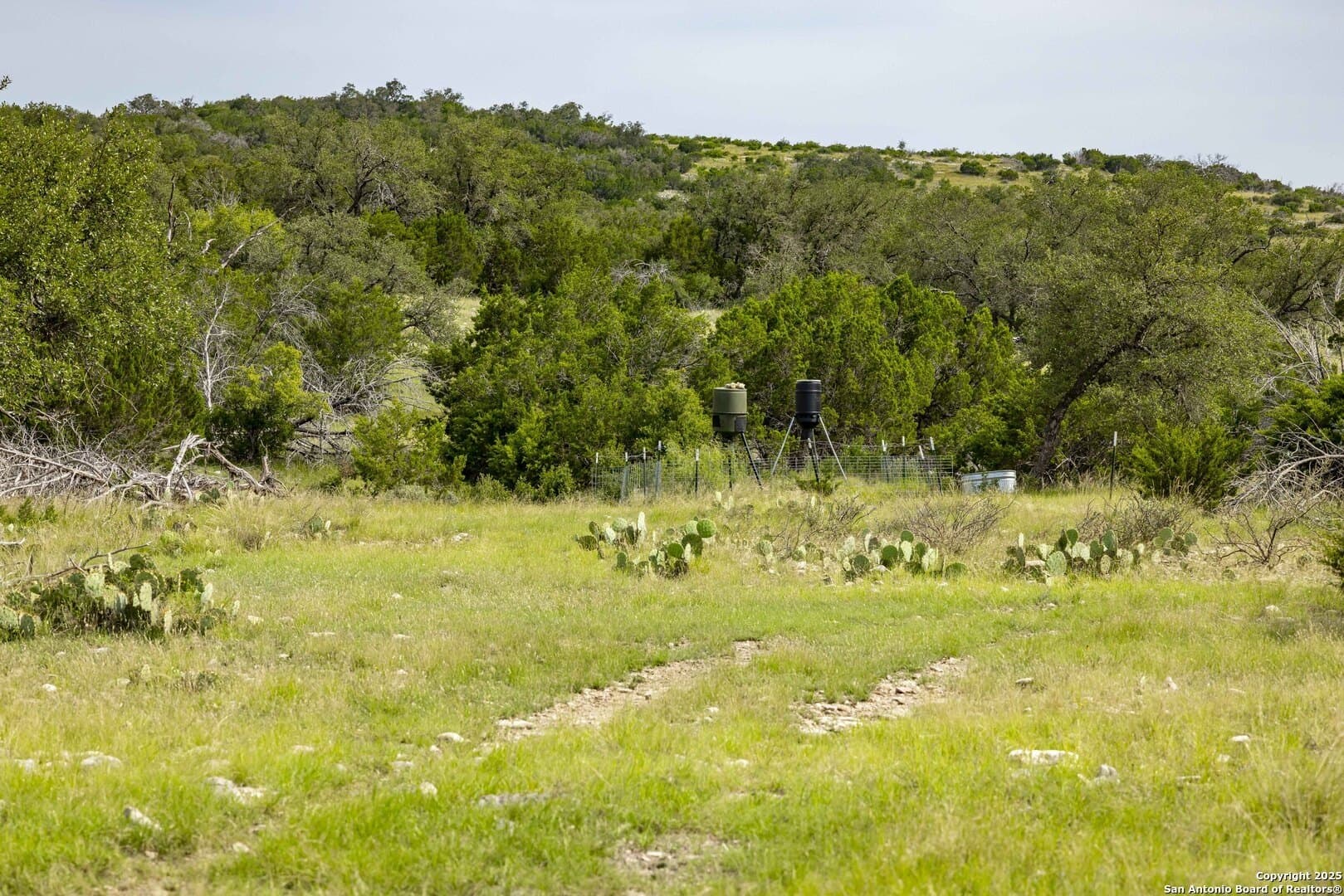 25.66 acres in Edwards County - photo 14