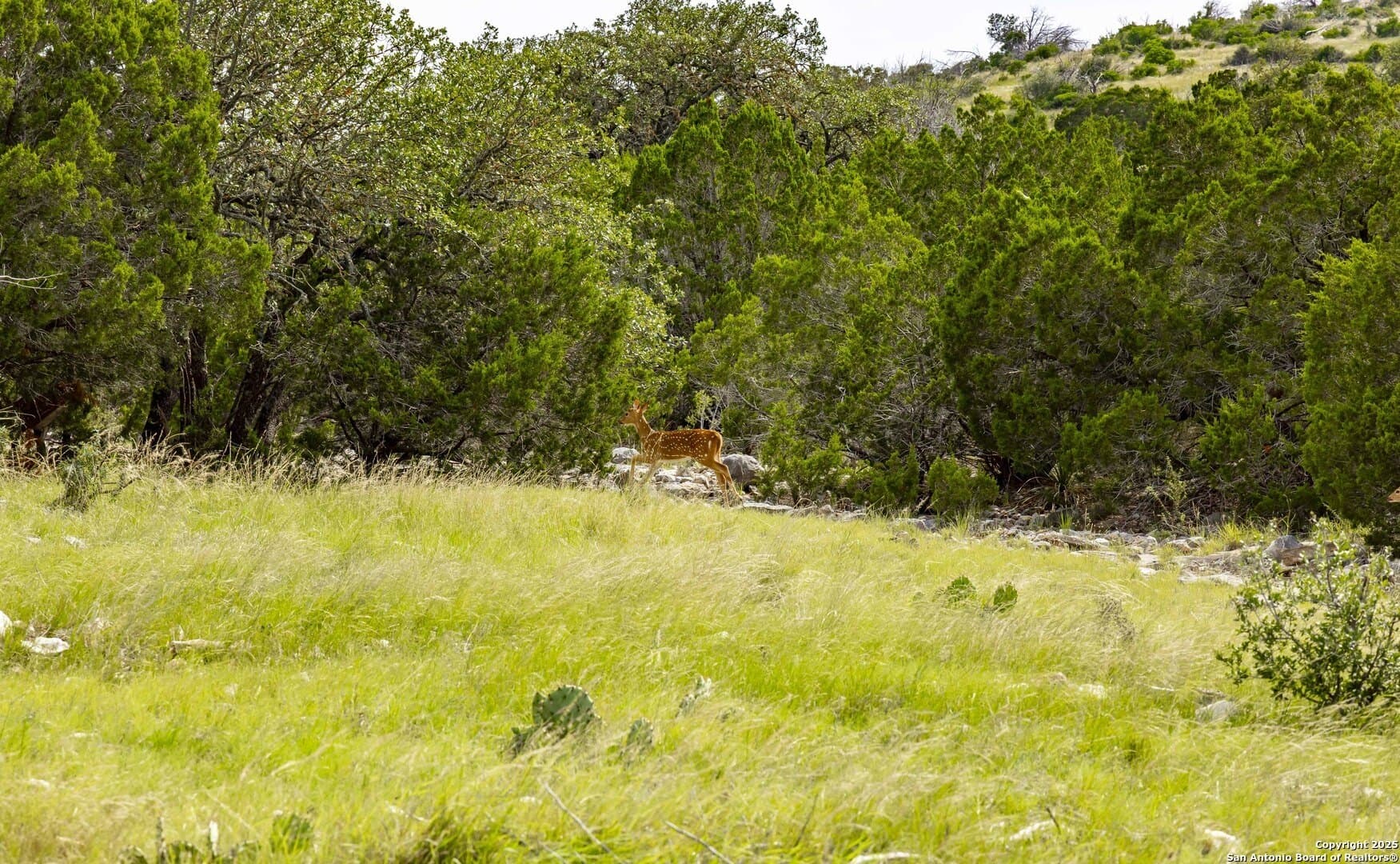 25.66 acres in Edwards County - photo 12