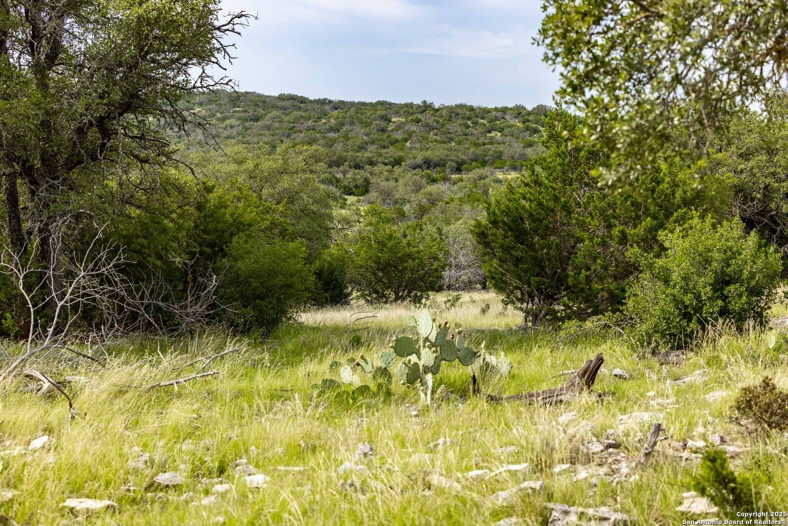 25.66 acres in Edwards County - photo 8
