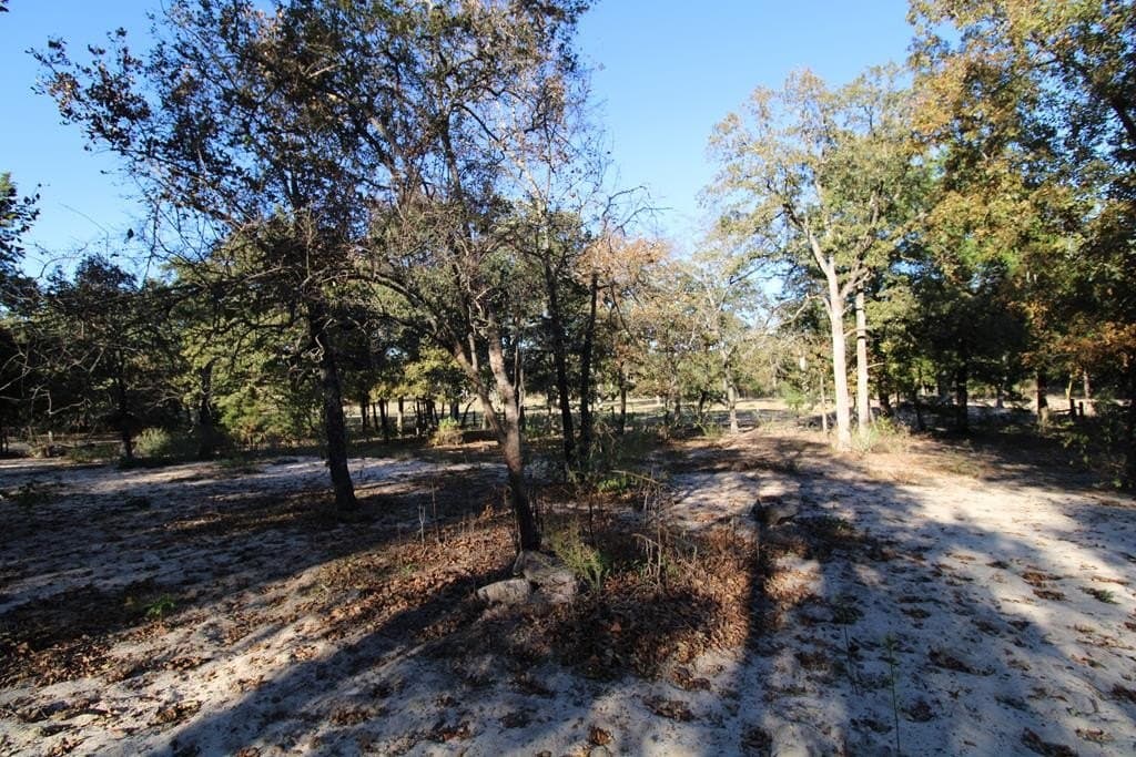 12.12 acres in Henderson County - photo 20