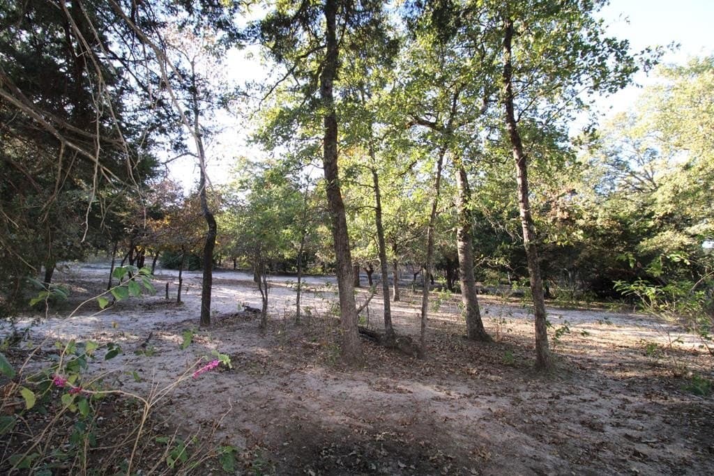 12.12 acres in Henderson County - photo 23