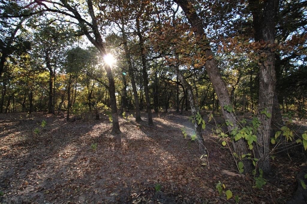 12.12 acres in Henderson County - photo 24