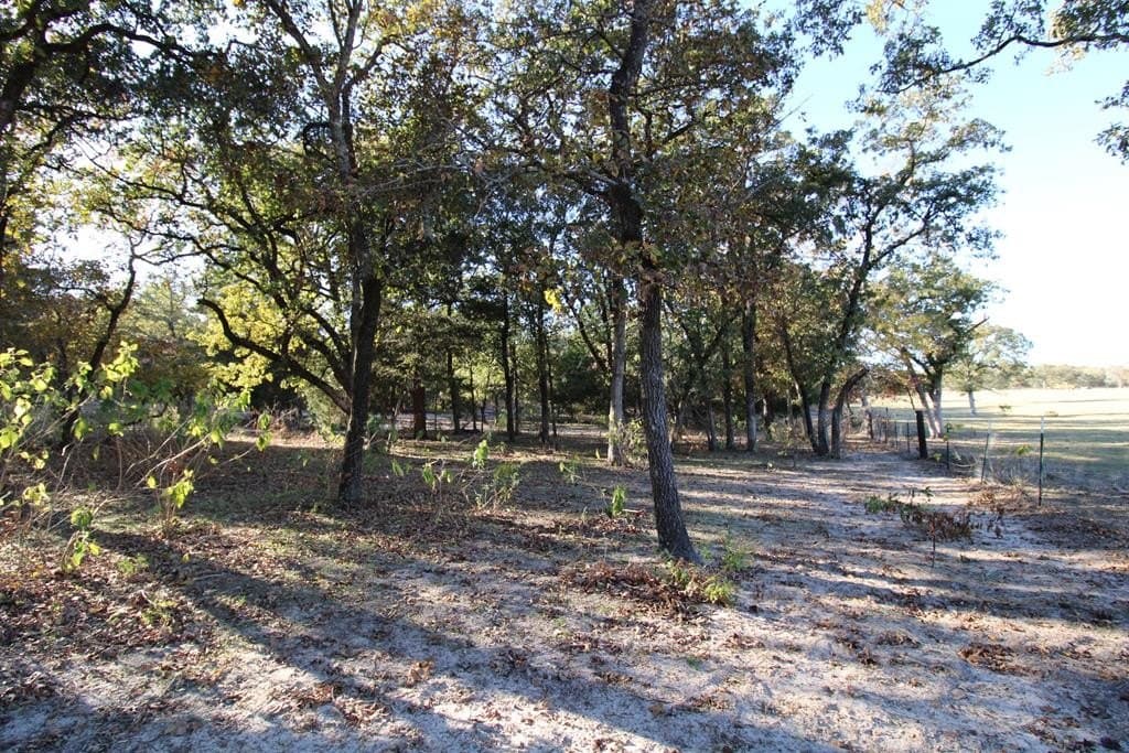 12.12 acres in Henderson County - photo 22