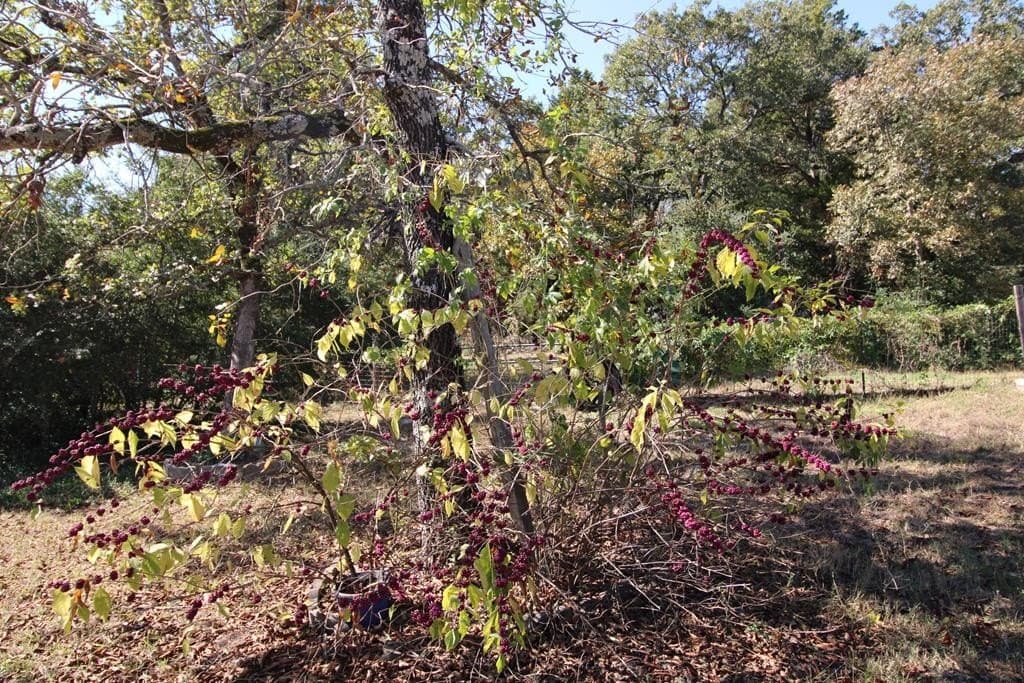 12.12 acres in Henderson County - photo 7