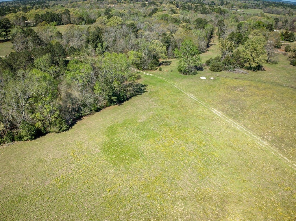 47.49 acres in ANDERSON County - photo 48