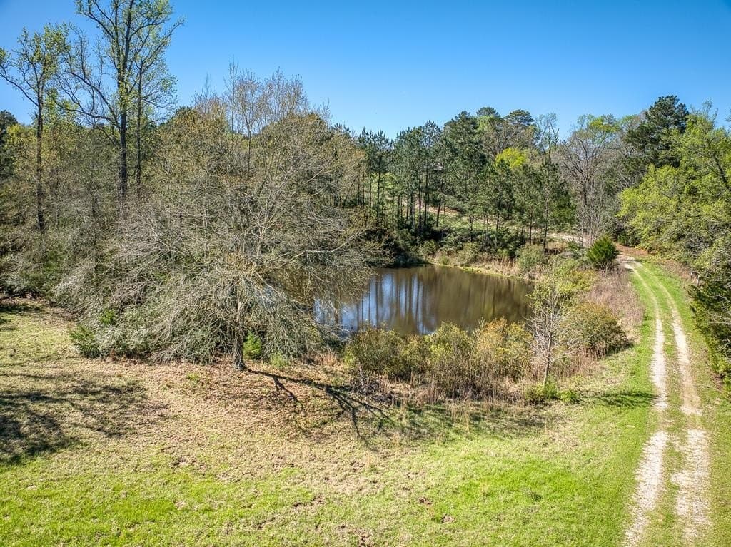 47.49 acres in ANDERSON County - photo 45