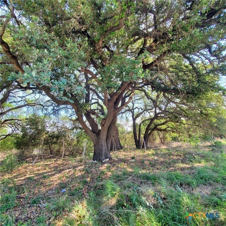 15.21 acres in Lampasas County - photo 11