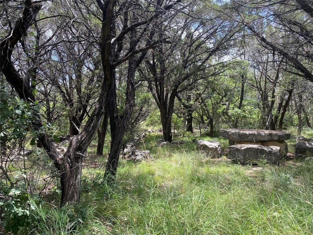 0.59 acres in Bosque County - photo 2