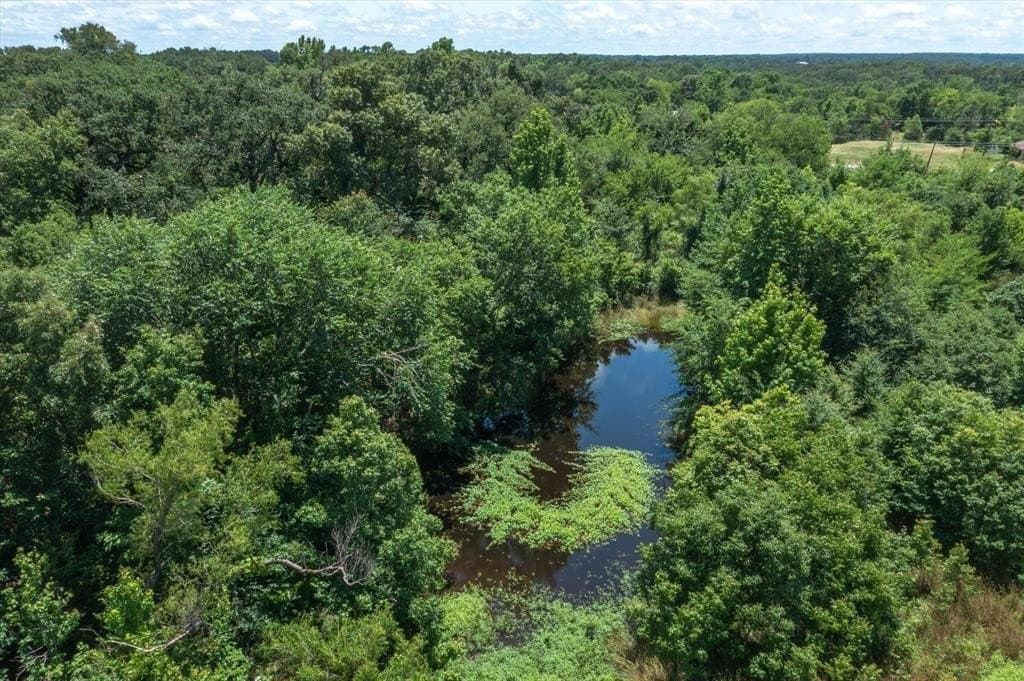 41.85 acres in Van Zandt County - photo 14