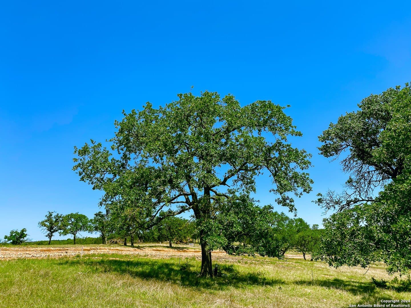 4.1 acres in Gillespie County - photo 6