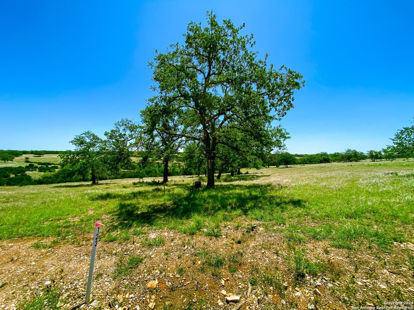 4.1 acres in Gillespie County - photo 9