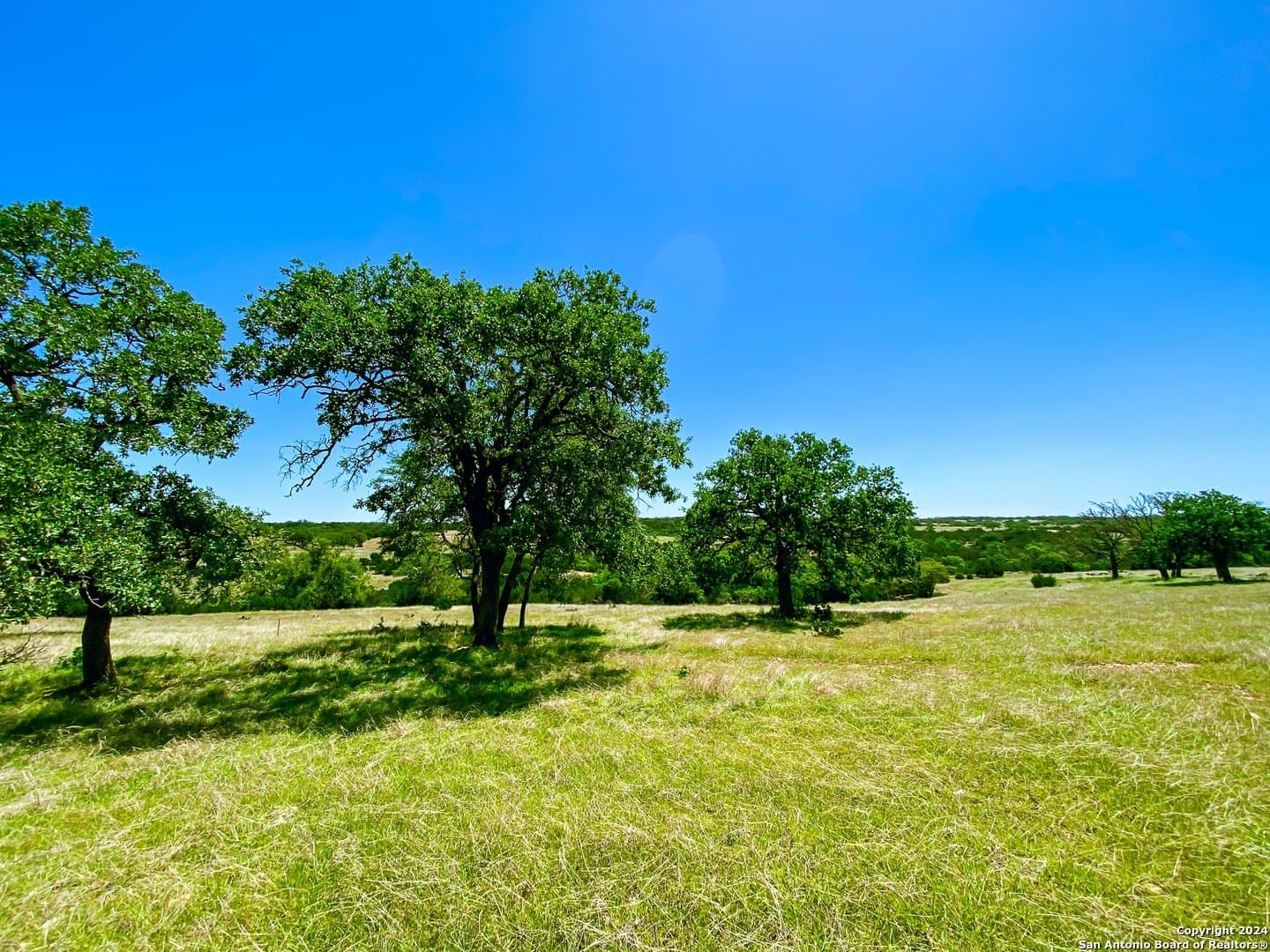 4.1 acres in Gillespie County - photo 8