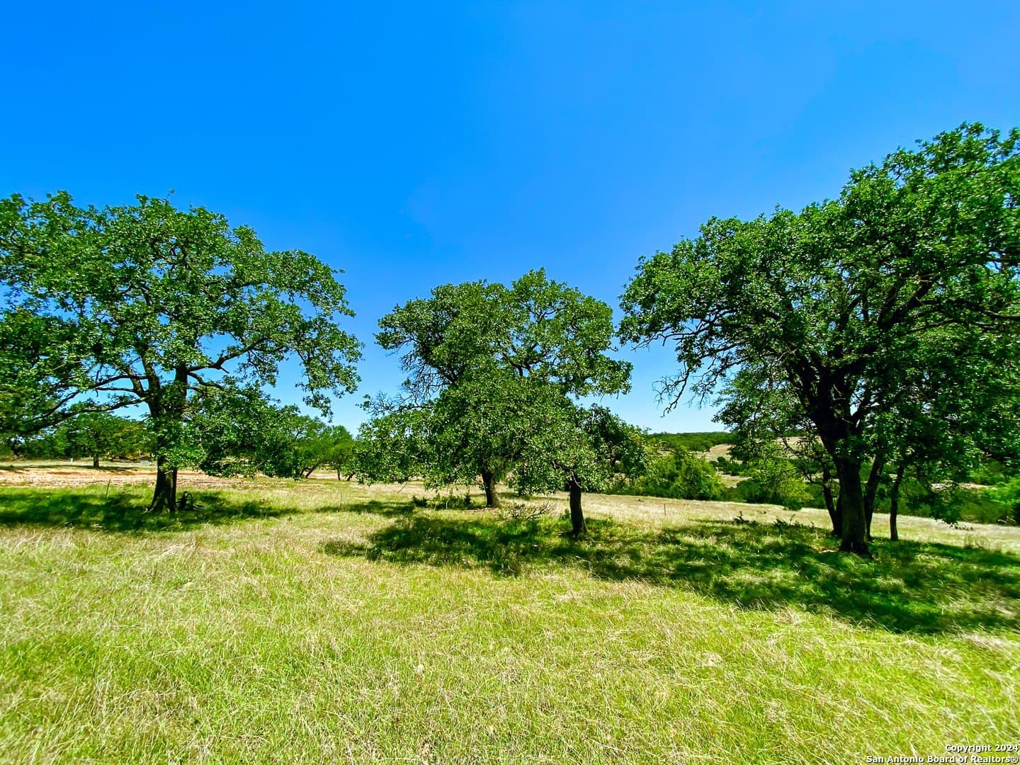 4.1 acres in Gillespie County - photo 5