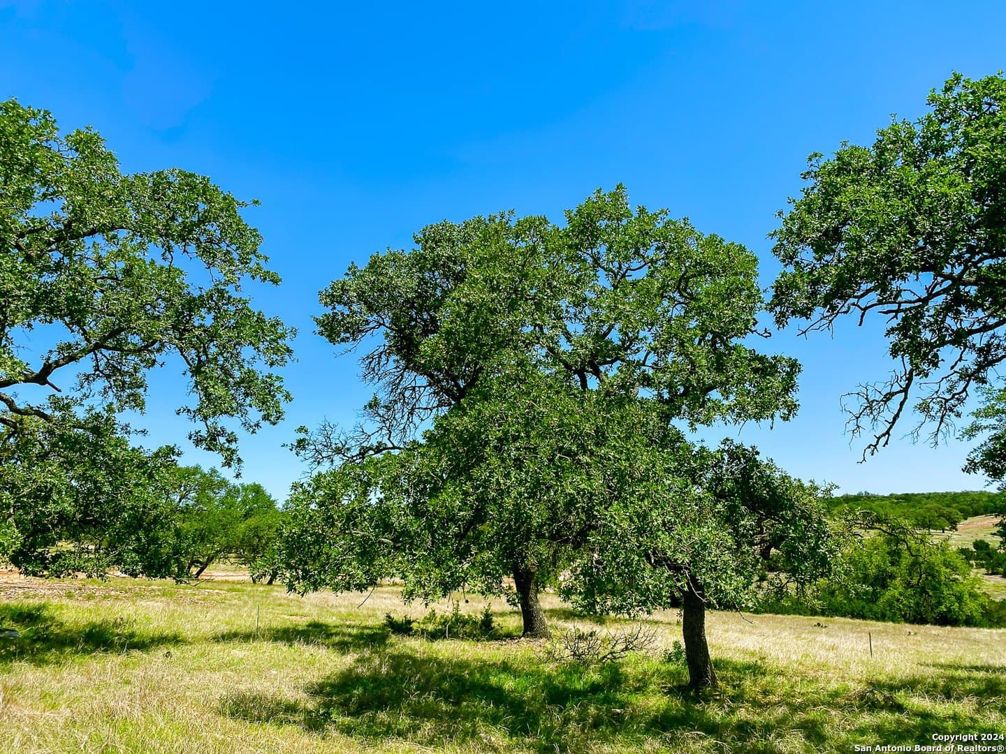 4.1 acres in Gillespie County - photo 7