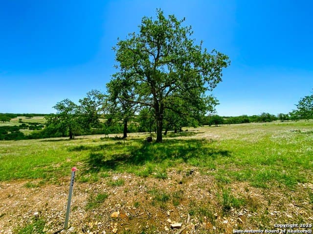 4.1 acres in Gillespie County - photo 2