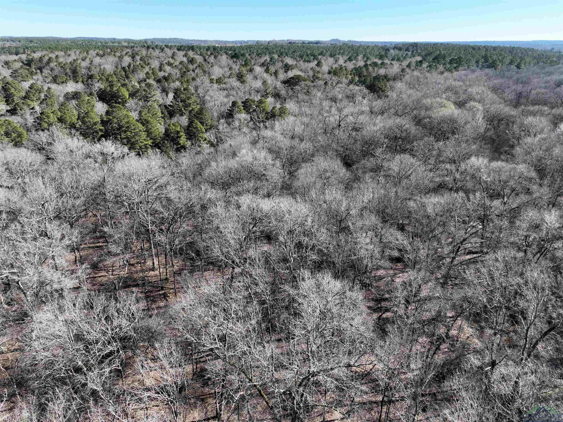 125.14 acres in Upshur County - photo 32