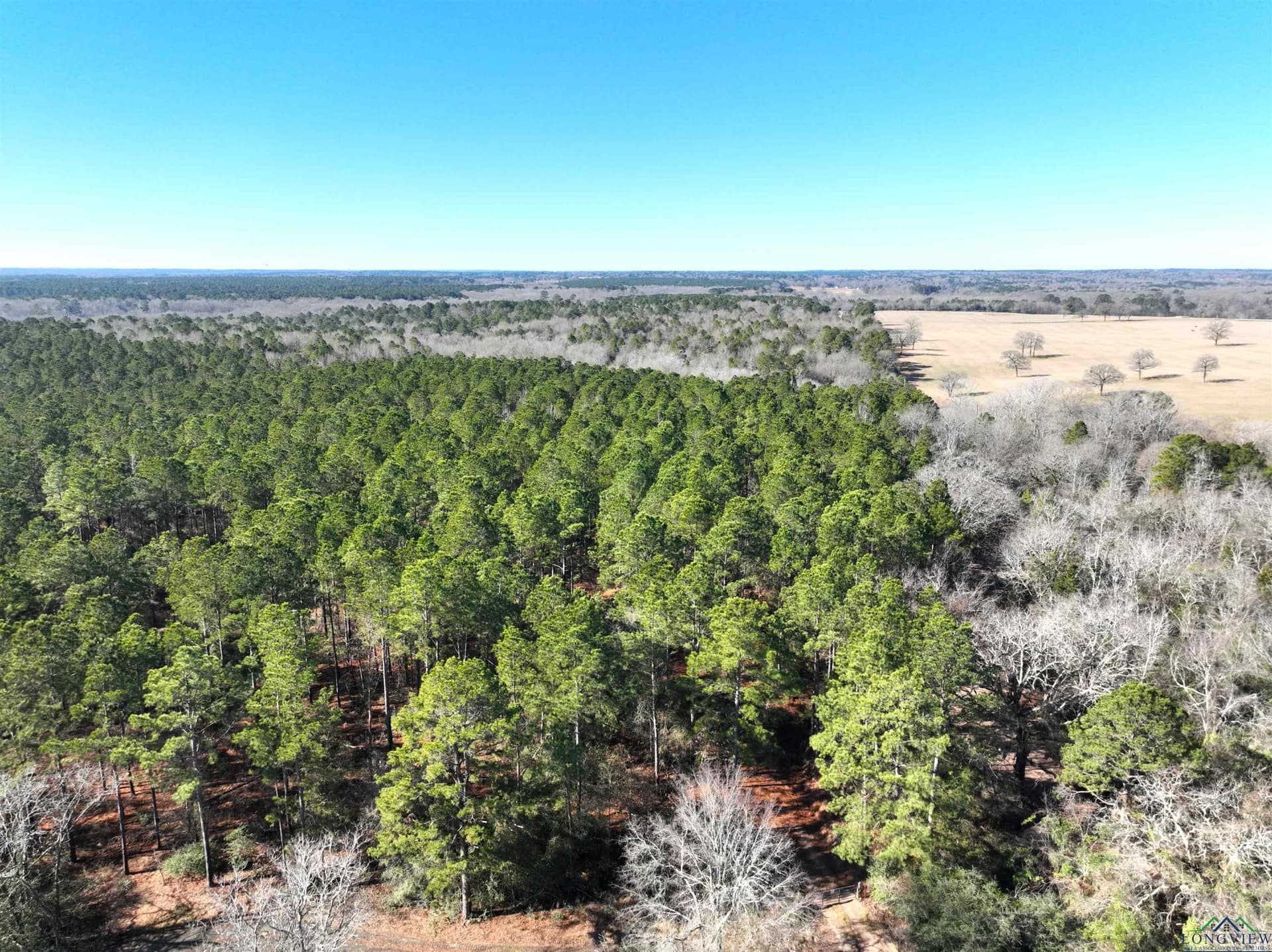 125.14 acres in Upshur County - photo 24