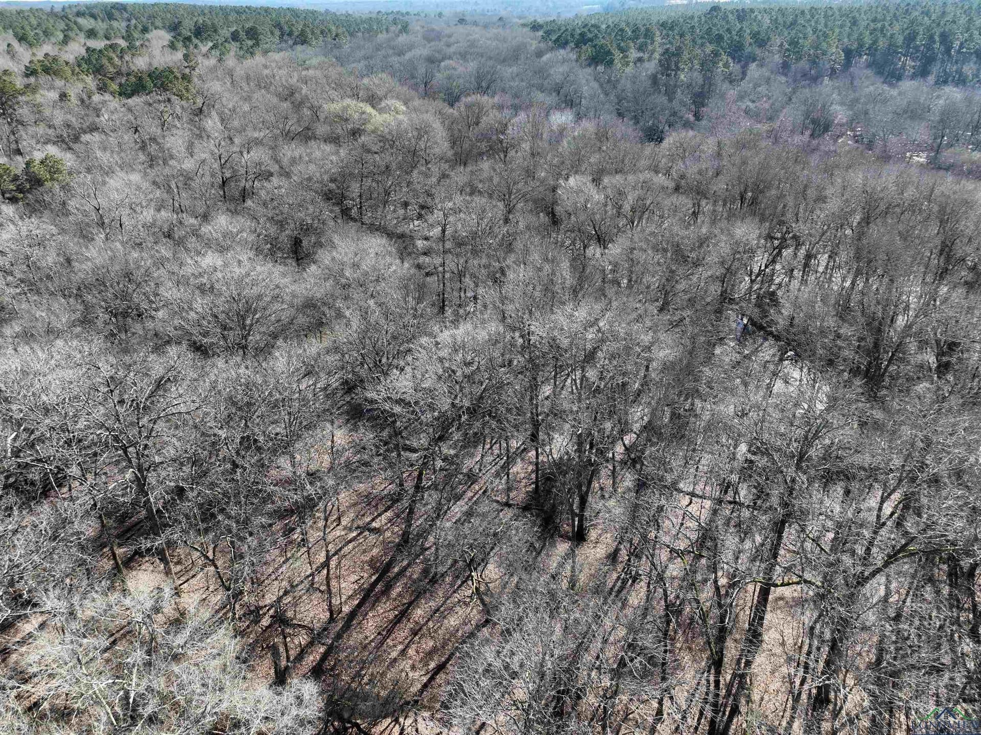 125.14 acres in Upshur County - photo 31