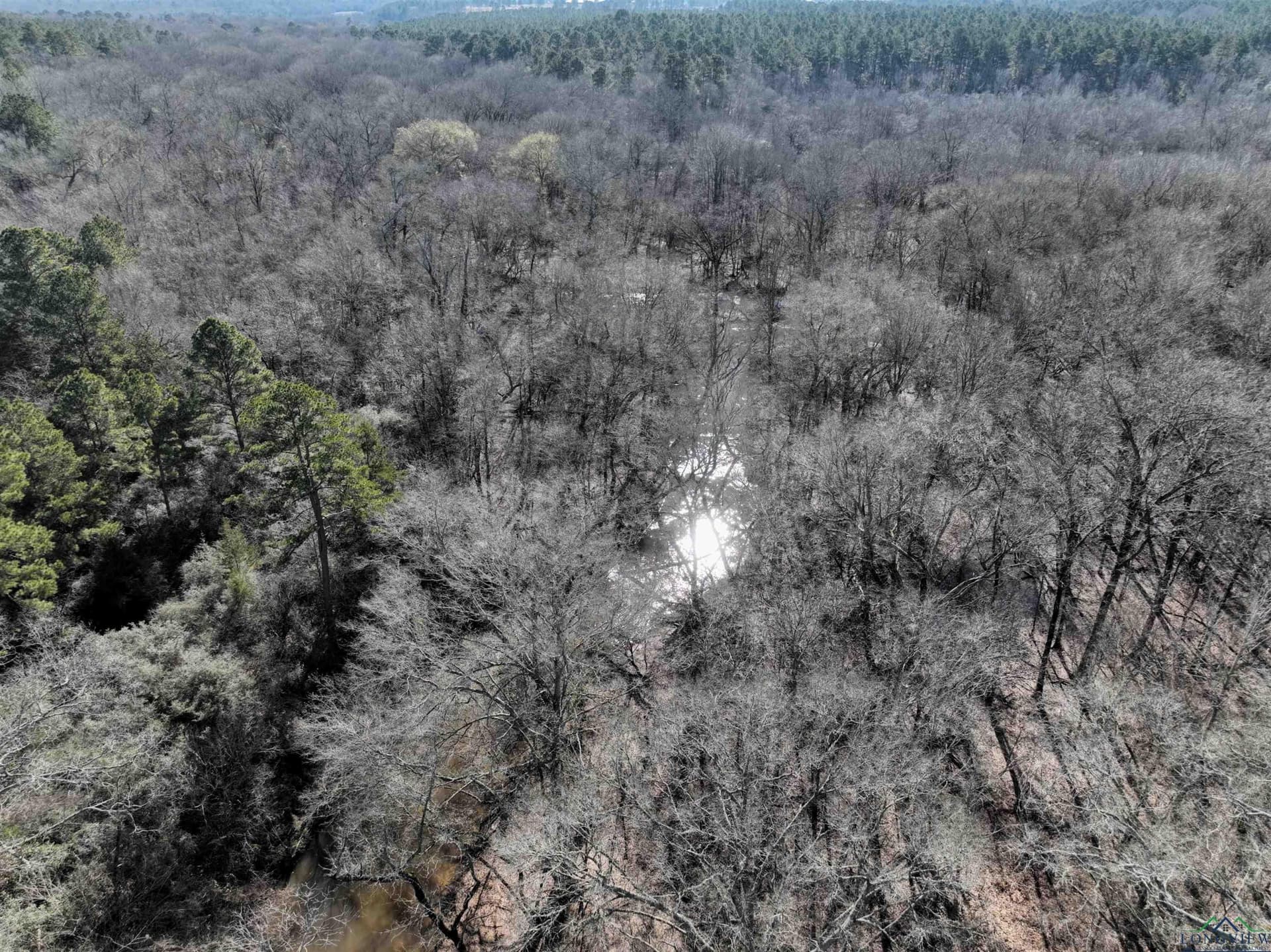 125.14 acres in Upshur County - photo 29