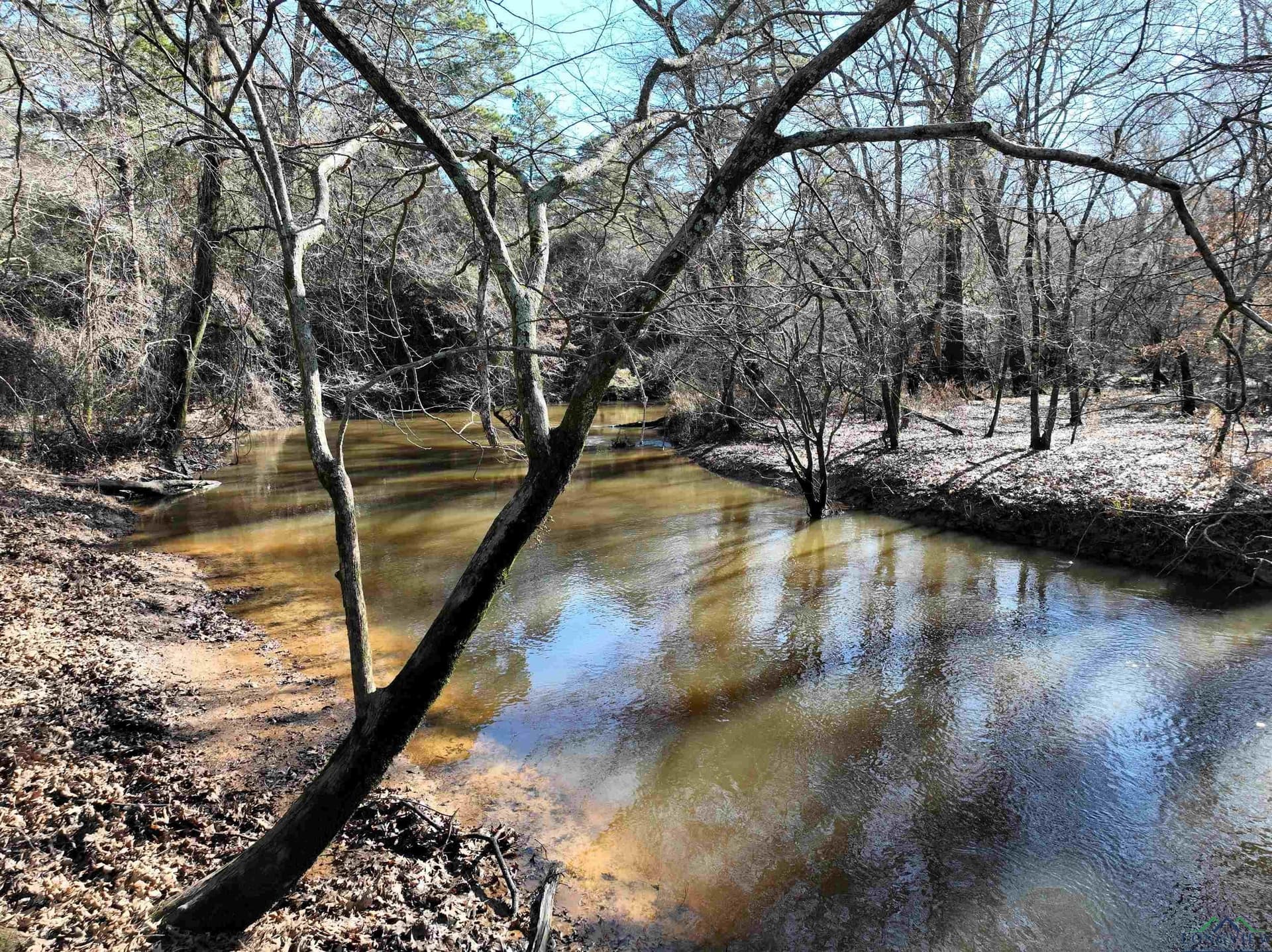 125.14 acres in Upshur County - photo 3