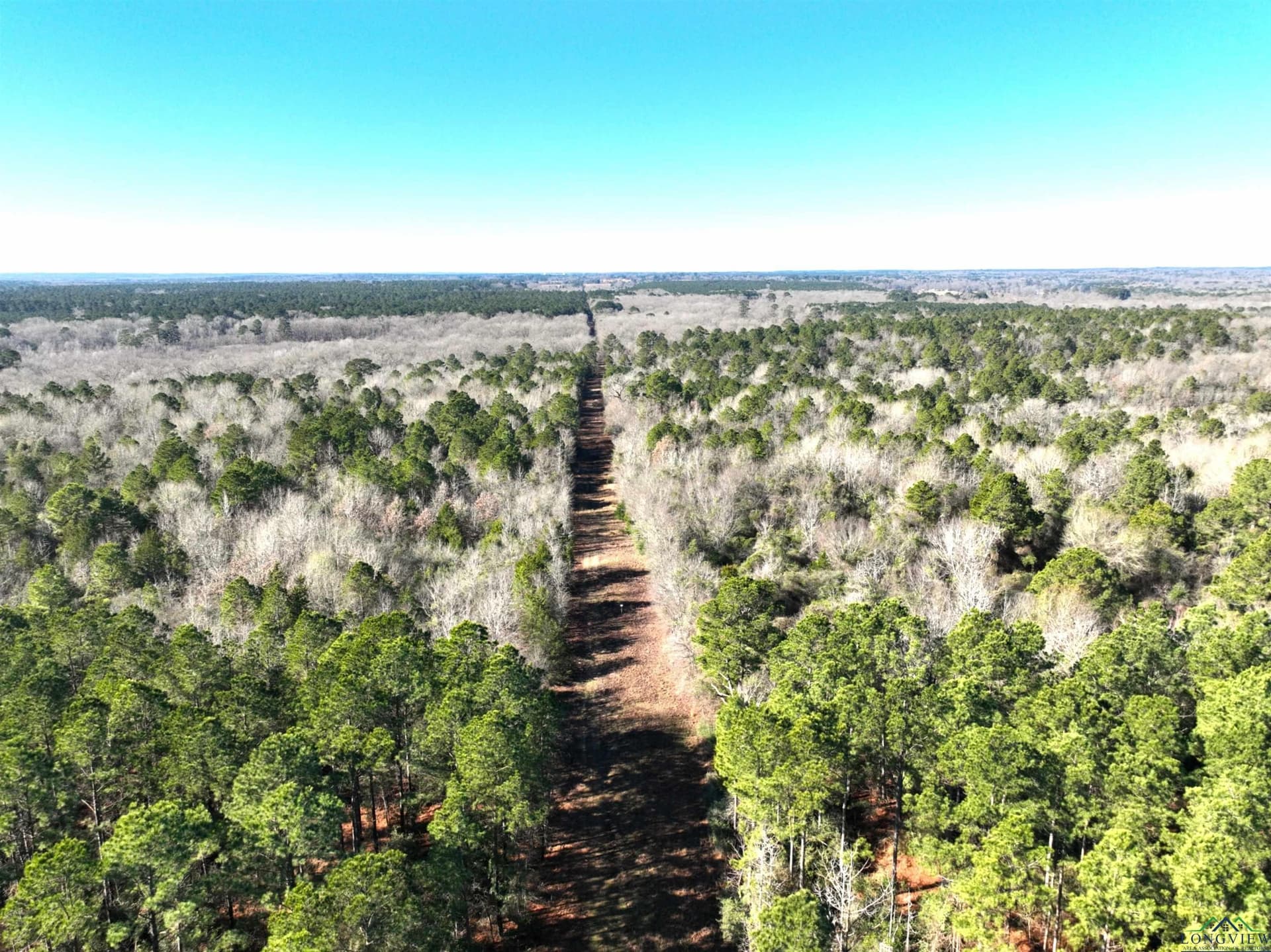 125.14 acres in Upshur County - photo 6