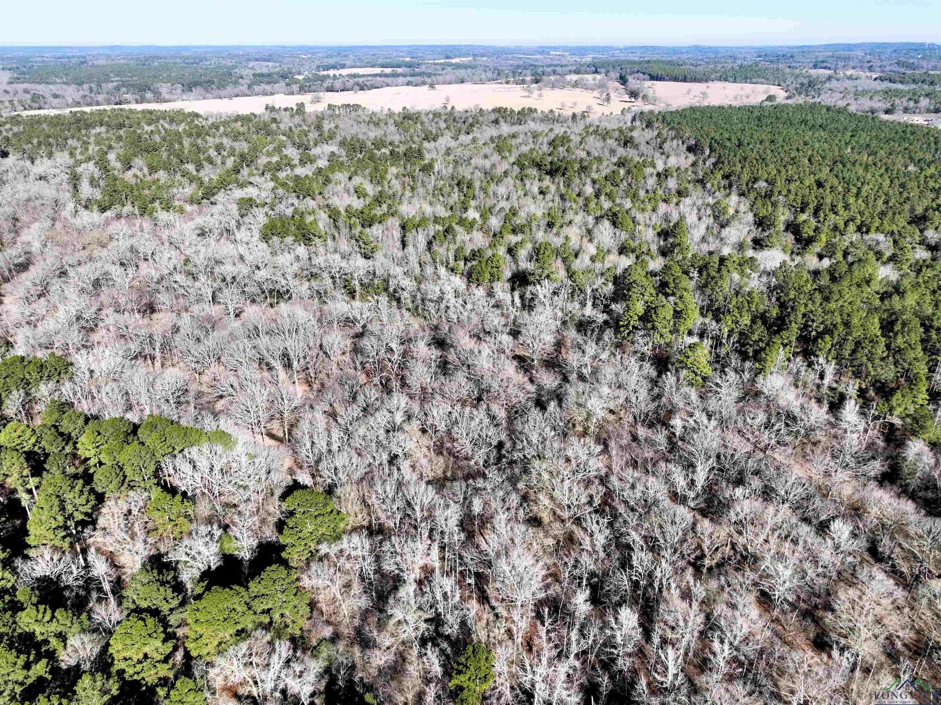 125.14 acres in Upshur County - photo 16