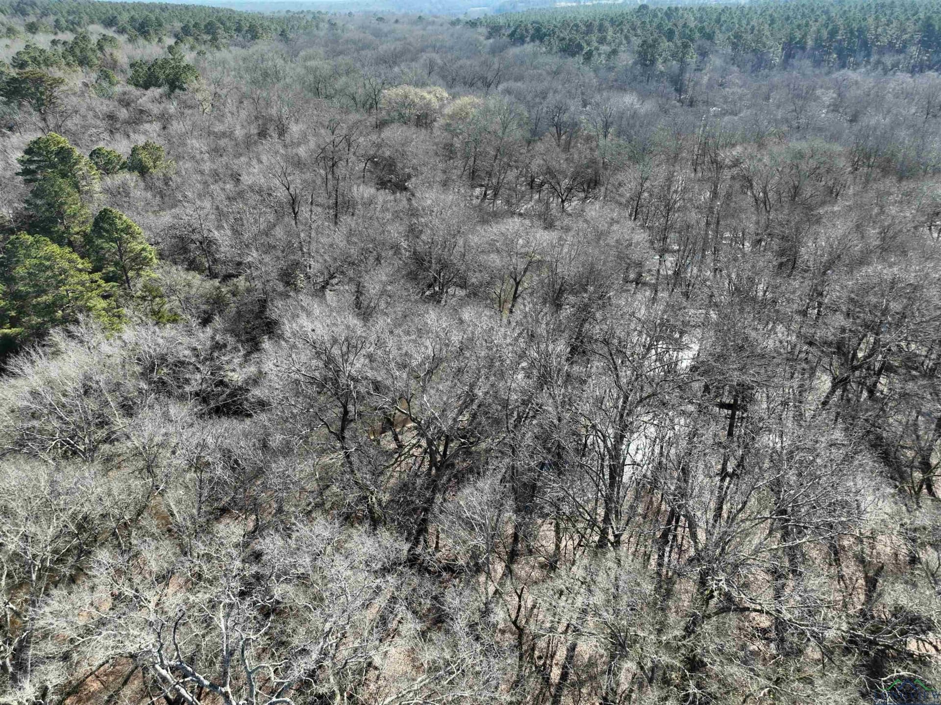 125.14 acres in Upshur County - photo 30