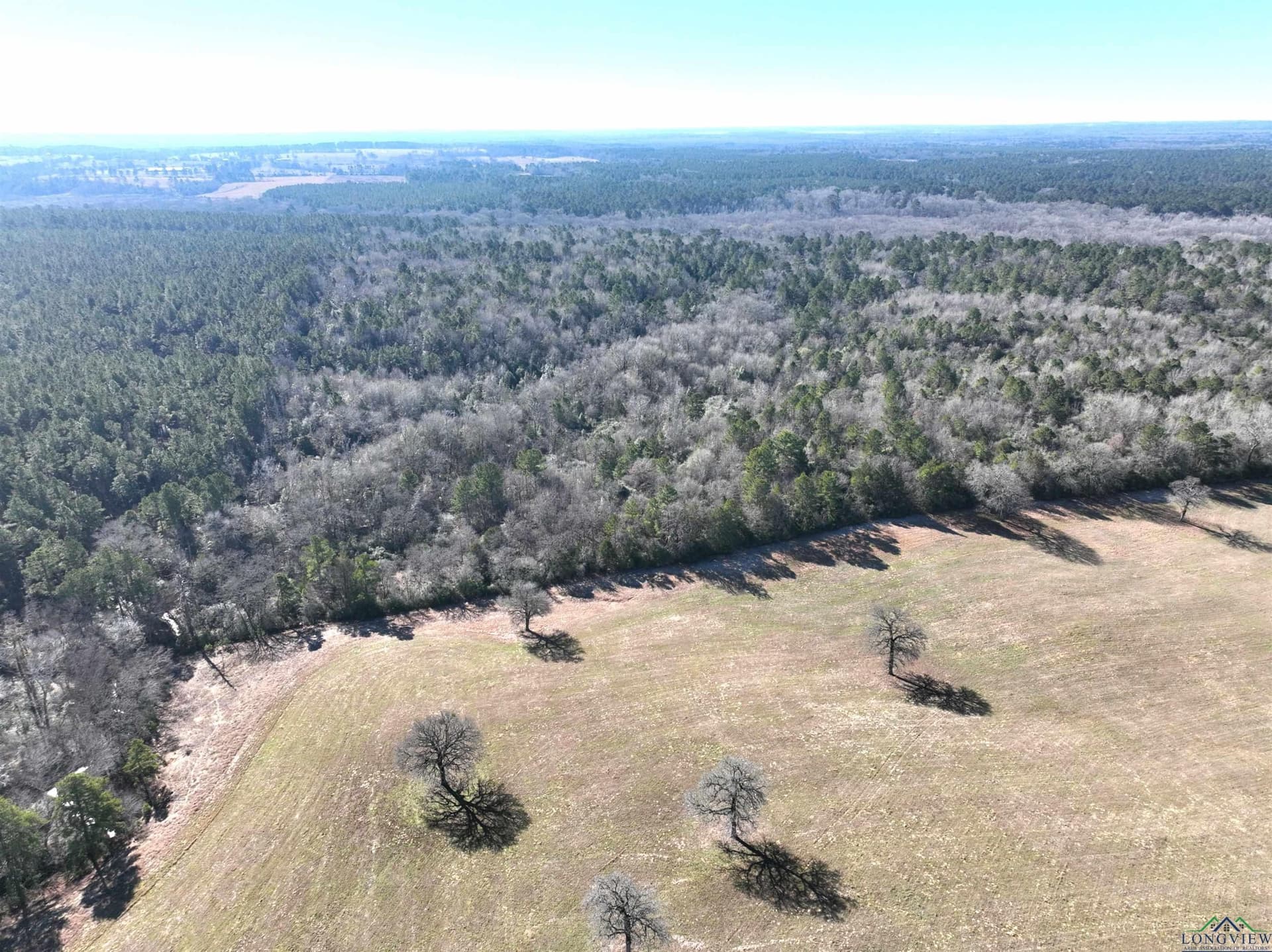 125.14 acres in Upshur County - photo 22