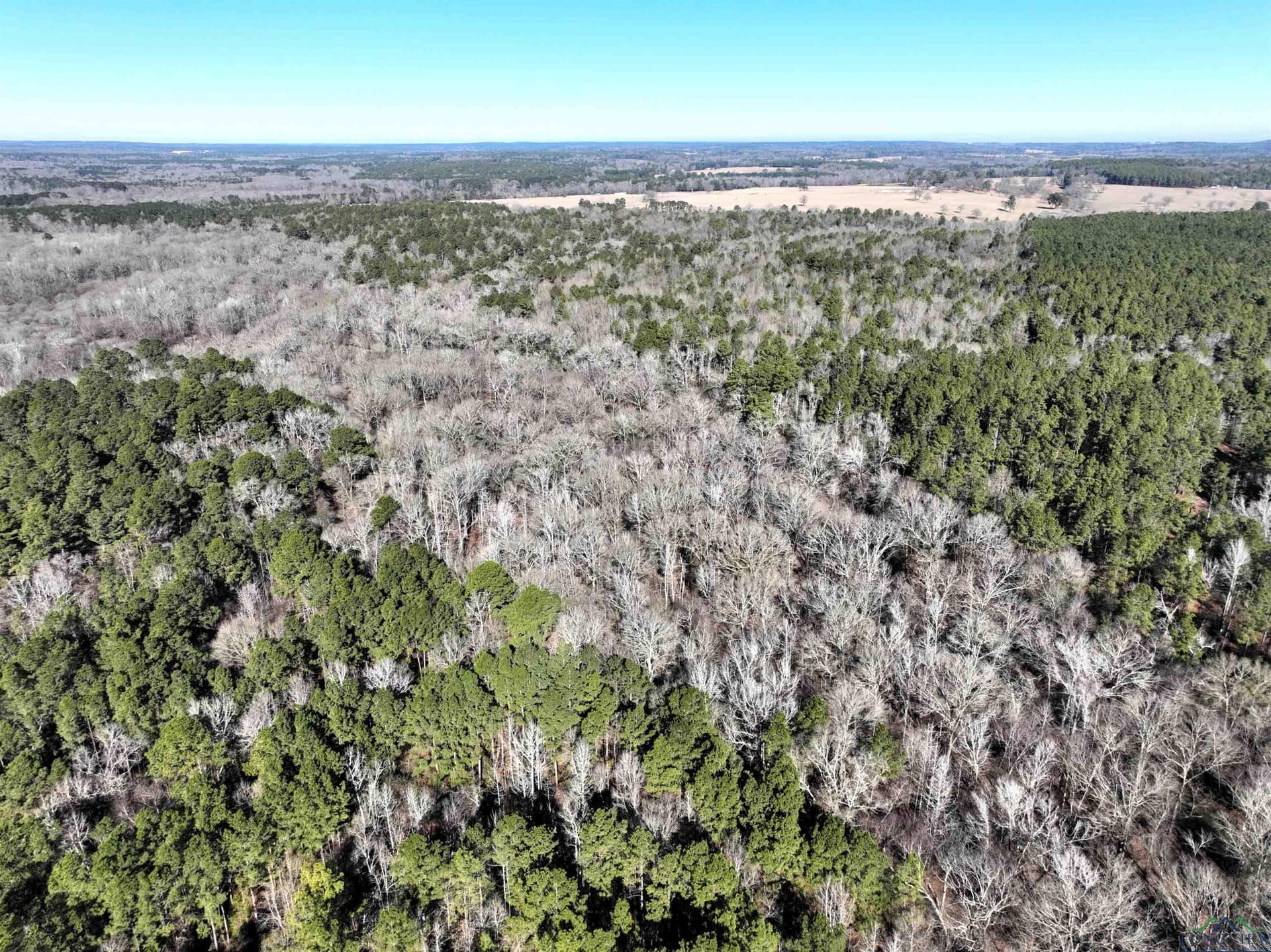 125.14 acres in Upshur County - photo 14