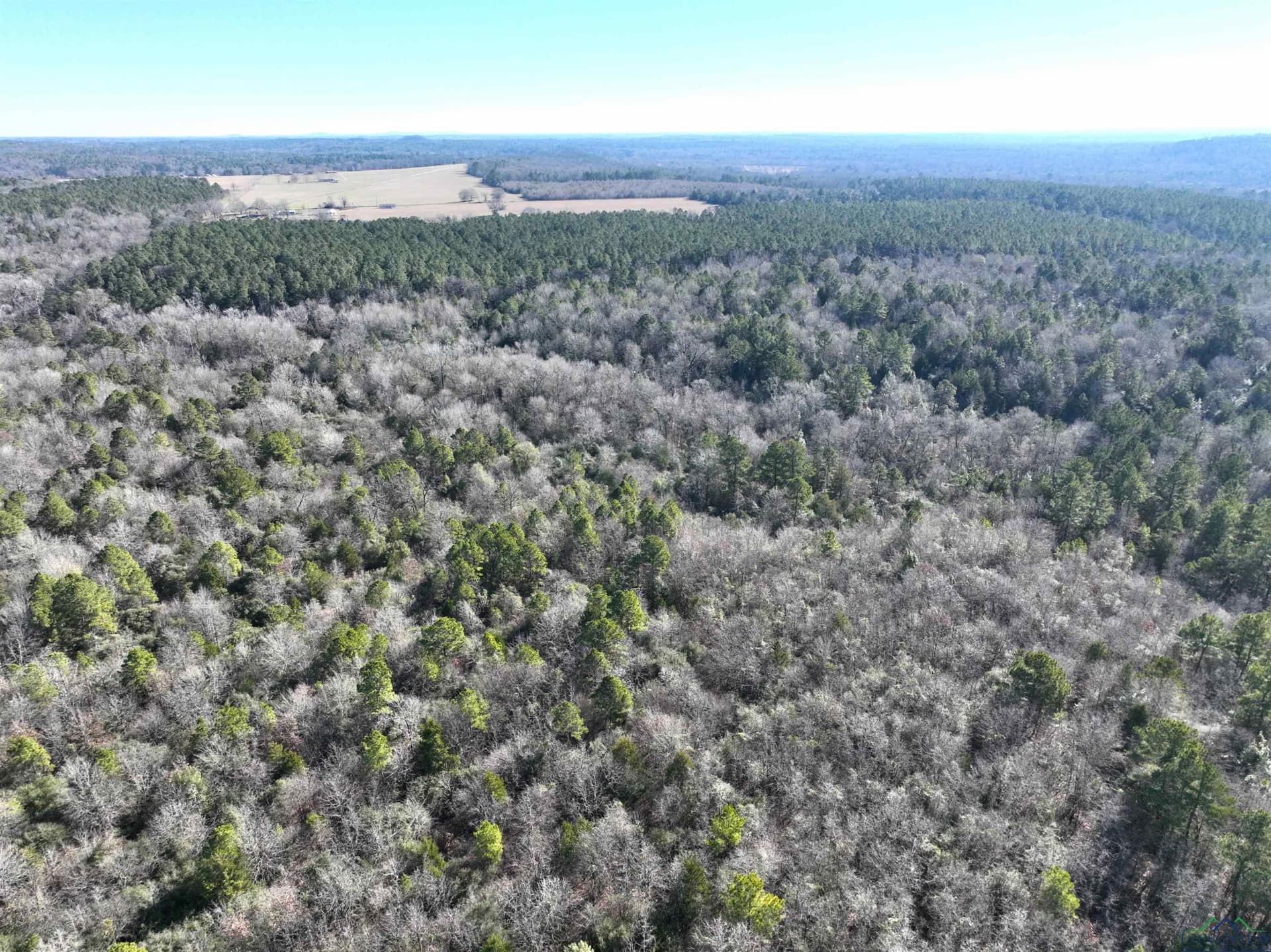 125.14 acres in Upshur County - photo 21