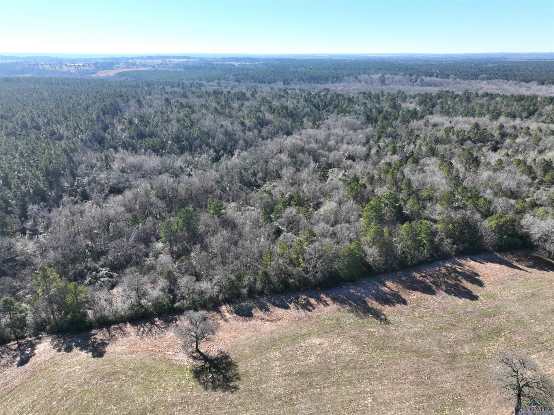 125.14 acres in Upshur County - photo 23