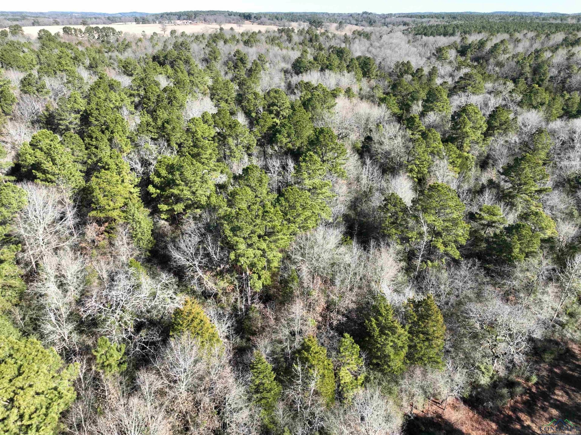 125.14 acres in Upshur County - photo 8