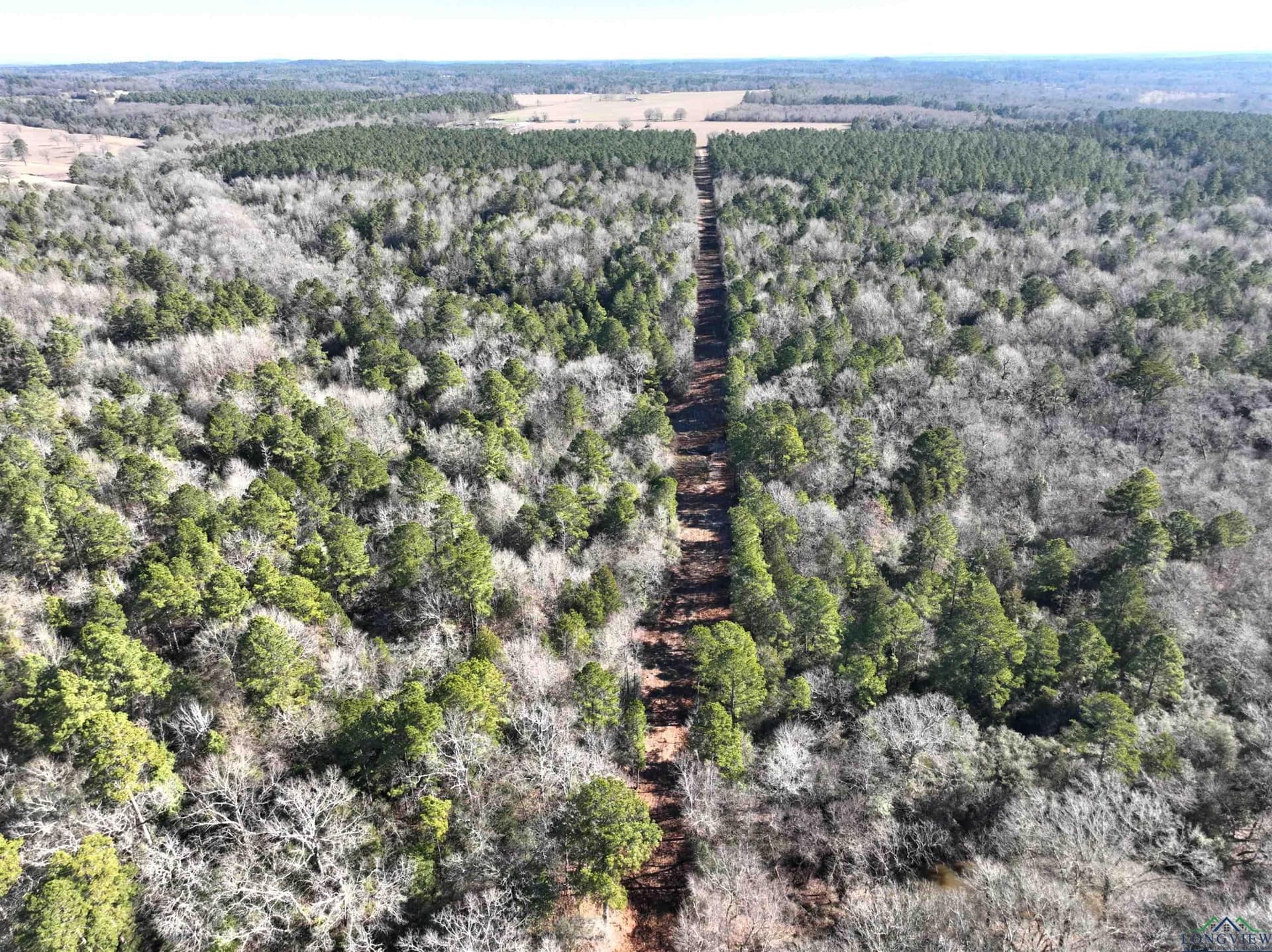 125.14 acres in Upshur County - photo 20