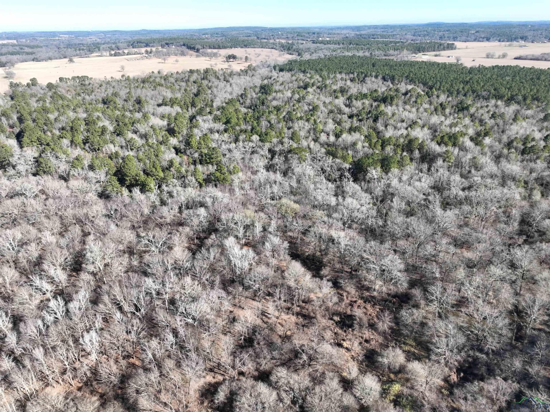 125.14 acres in Upshur County - photo 18
