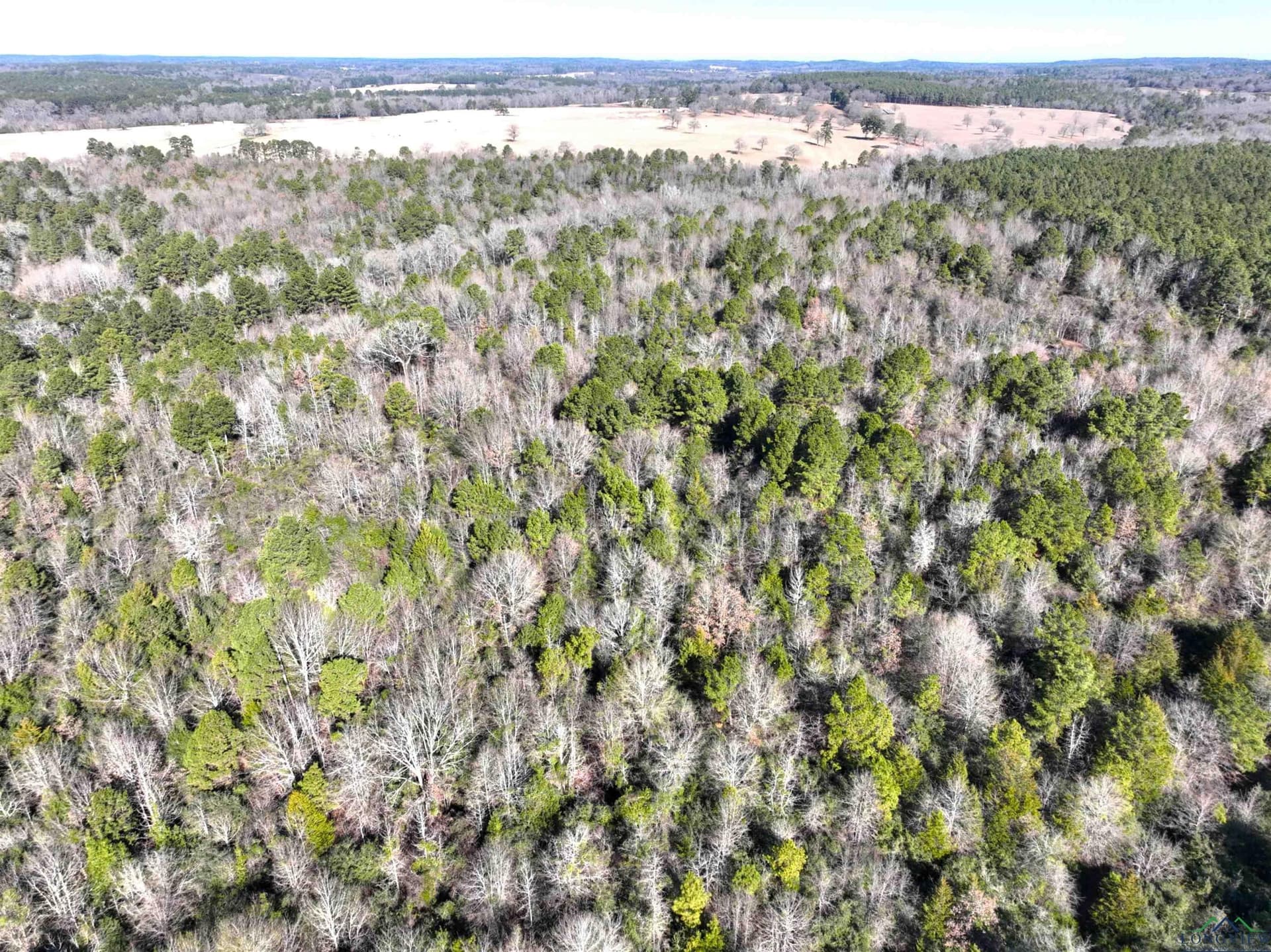125.14 acres in Upshur County - photo 25