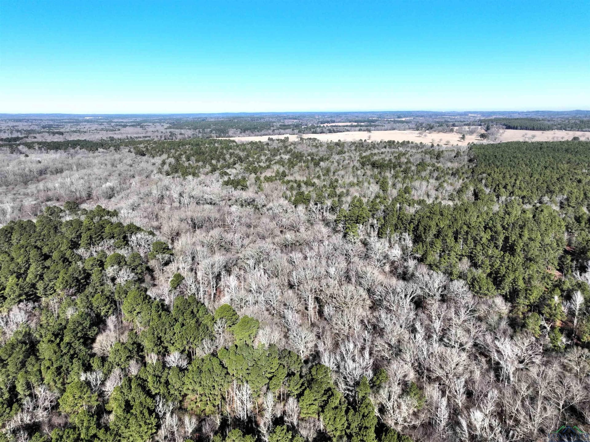 125.14 acres in Upshur County - photo 12