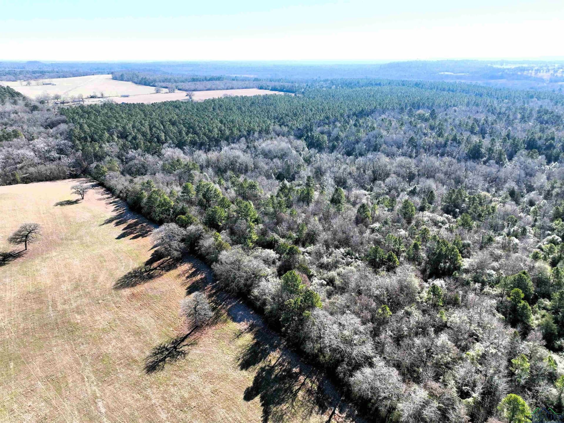 125.14 acres in Upshur County - photo 11
