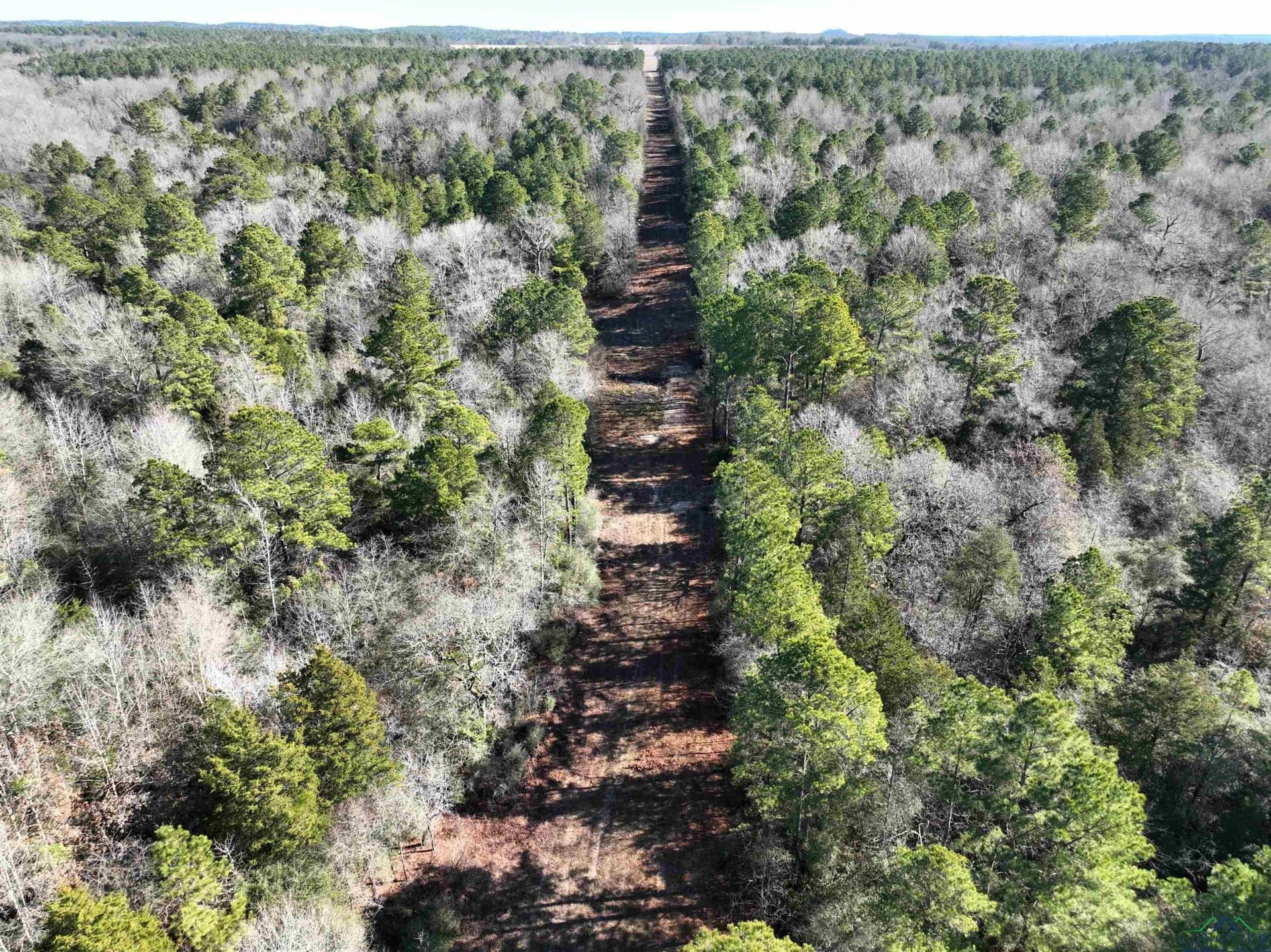 125.14 acres in Upshur County - photo 7