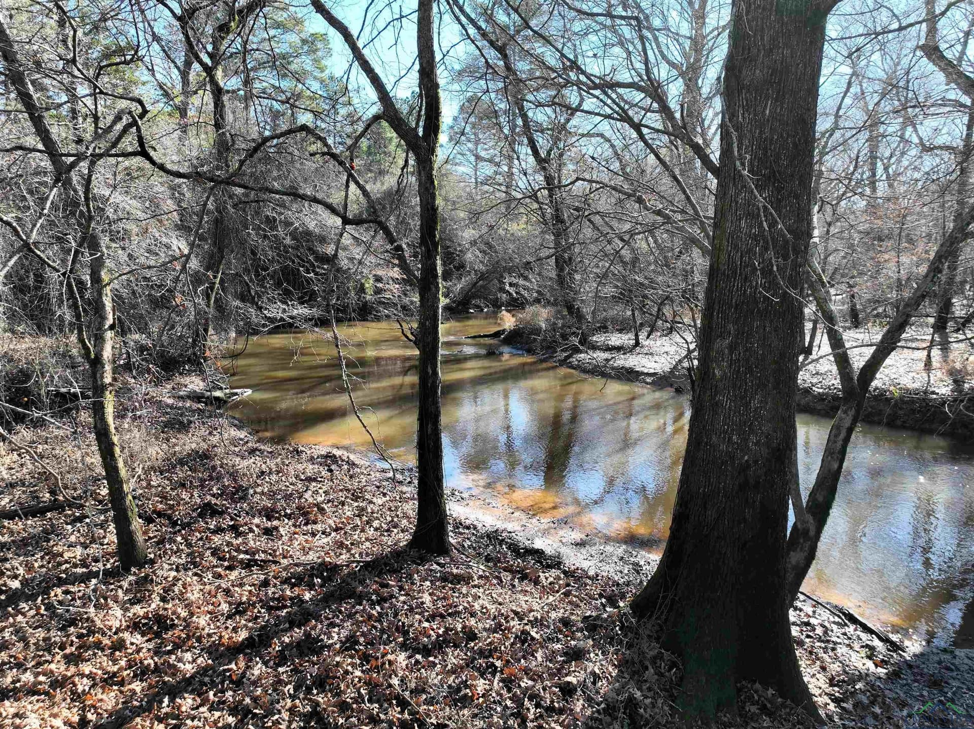 125.14 acres in Upshur County - photo 5