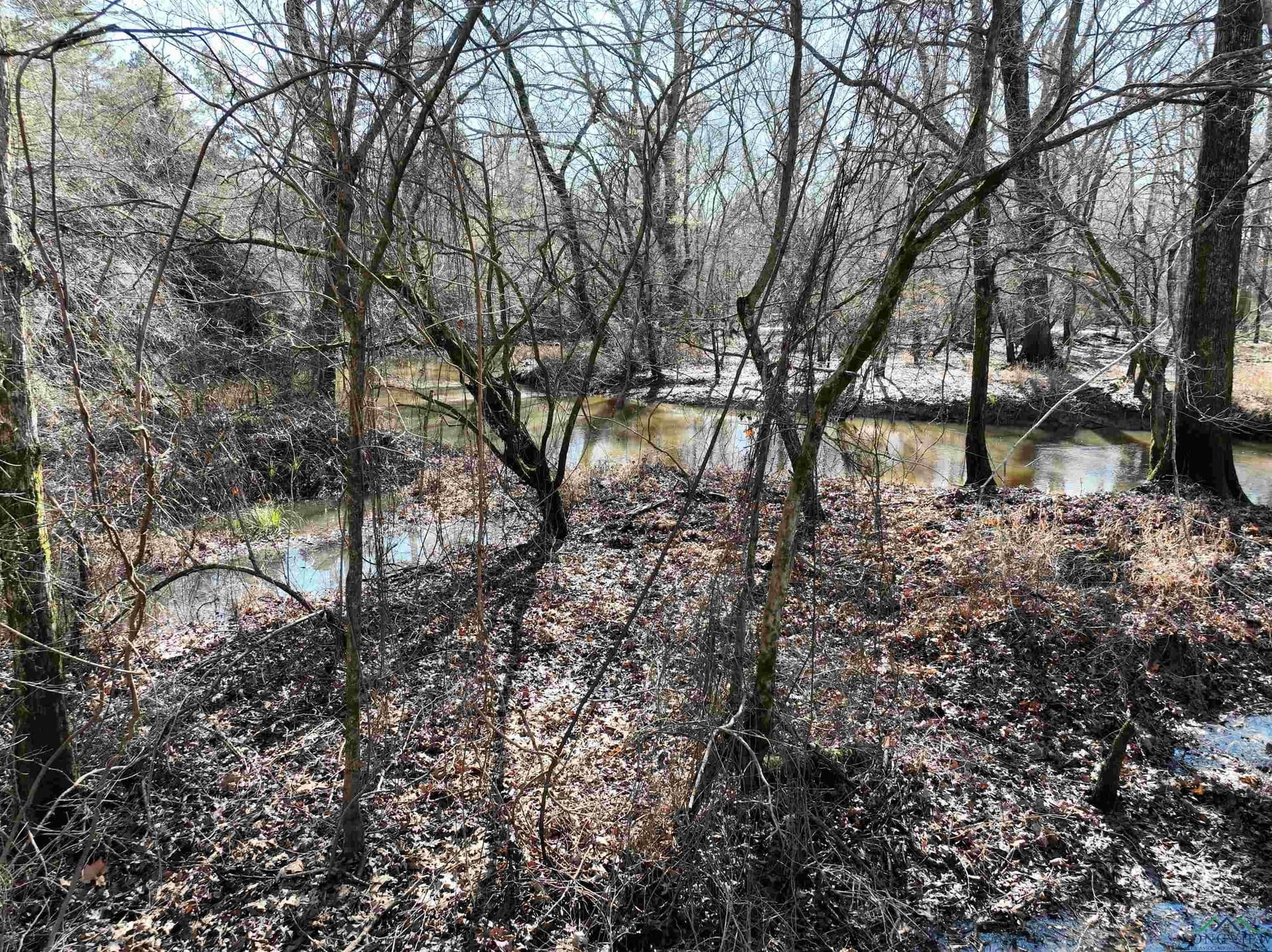 125.14 acres in Upshur County - photo 4