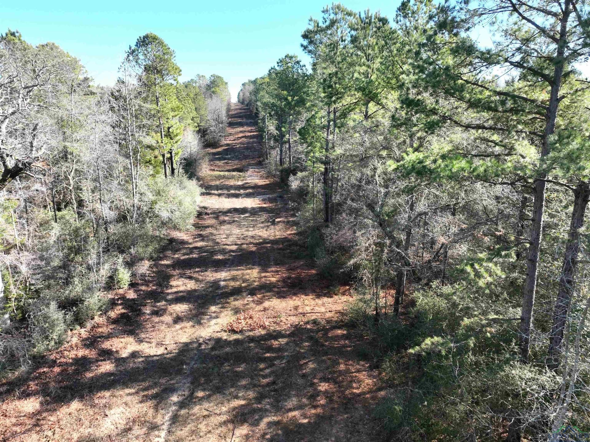 125.14 acres in Upshur County - photo 9