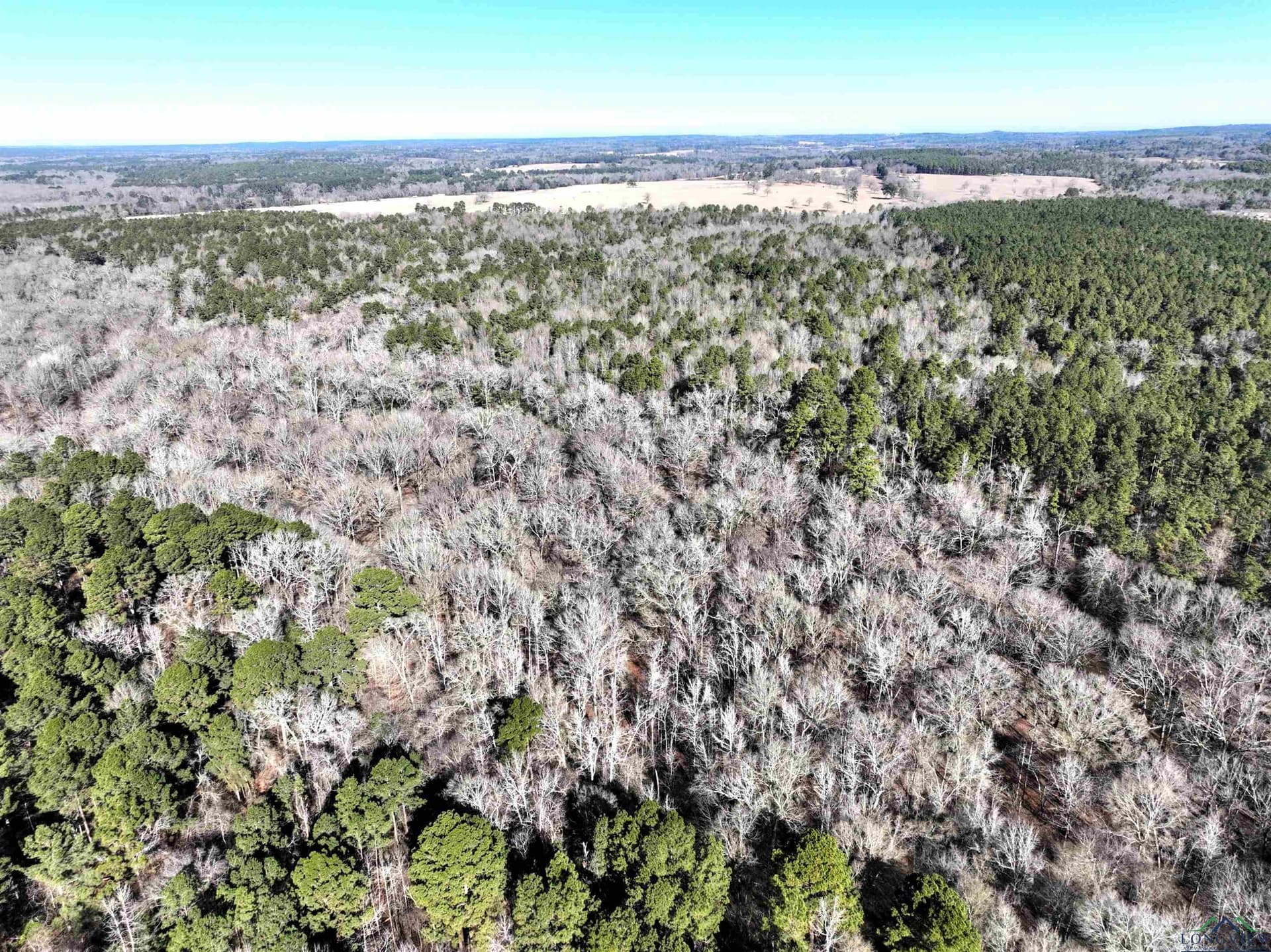 125.14 acres in Upshur County - photo 15