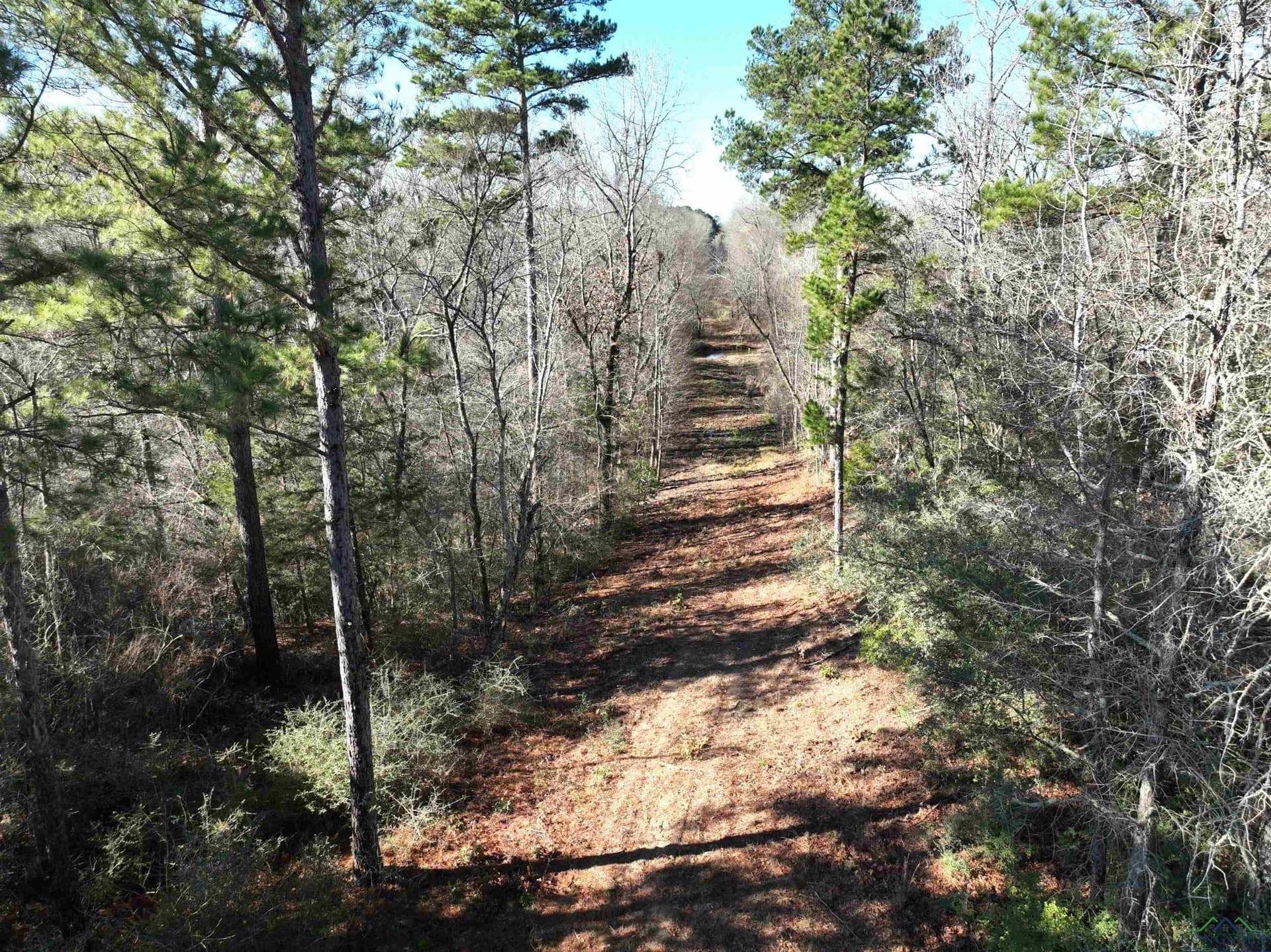 125.14 acres in Upshur County - photo 10