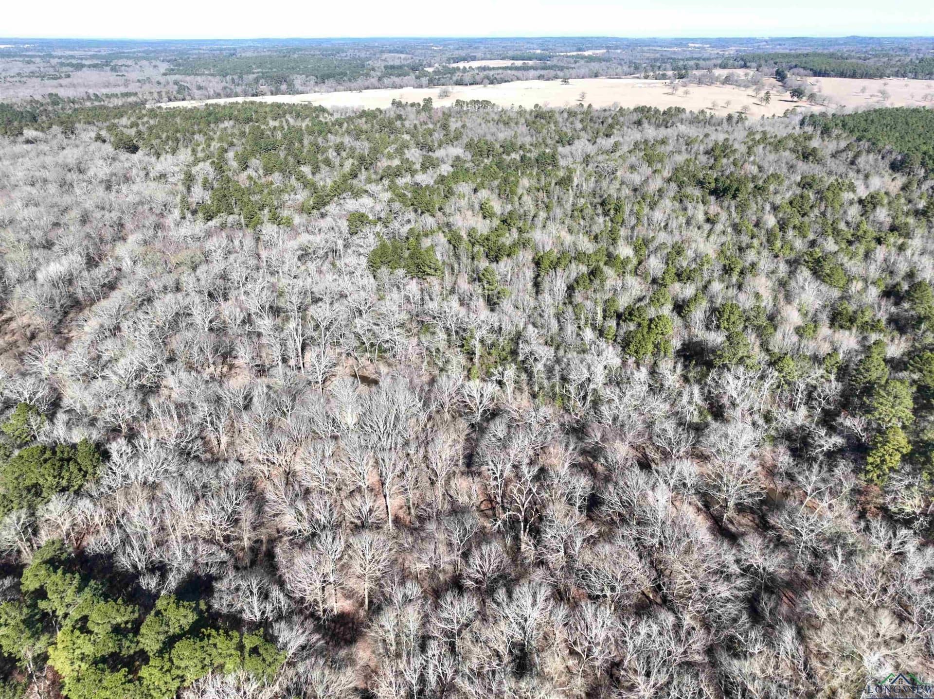 125.14 acres in Upshur County - photo 17