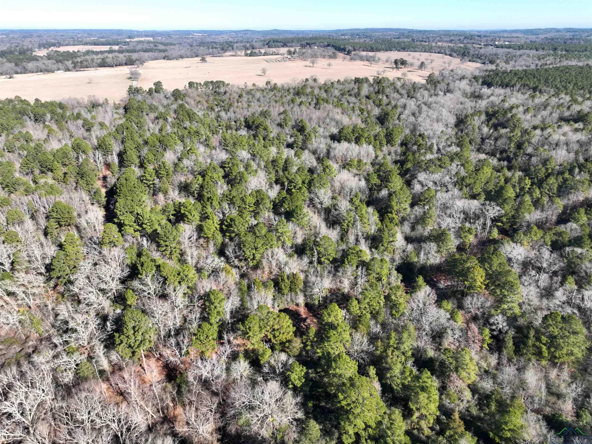 125.14 acres in Upshur County - photo 19
