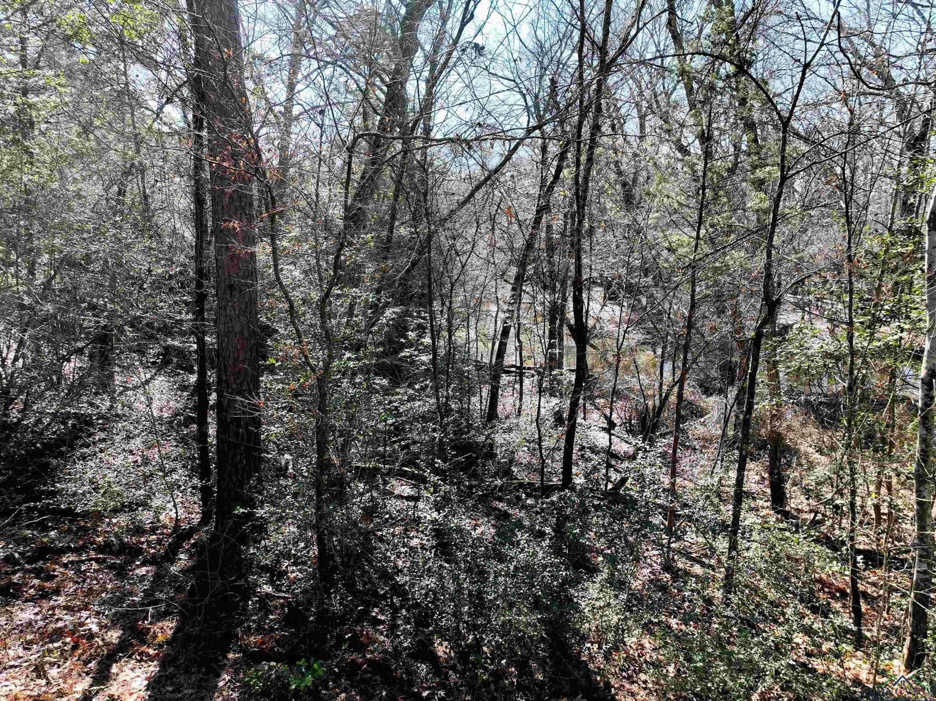 125.14 acres in Upshur County - photo 33