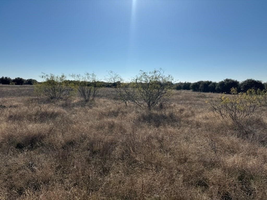 2.97 acres in Palo Pinto County - photo 8